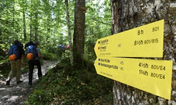 Bergwanderung auf die Zugspitze durch das...