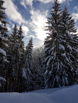 Schneeschuhwanderung für Einsteiger auf den Eckbauer