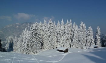 Schneeschuhwanderung für Einsteiger auf den Eckbauer