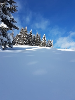 Schneeschuhwanderung für Einsteiger auf den Eckbauer