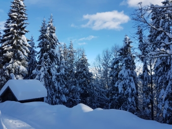 Schneeschuhwanderung für Einsteiger auf den Eckbauer