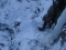 Ice climbing at the Jochberg Rechtes Gully WI4