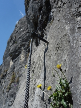 Kaiser Max Via ferrata at the Martinswand