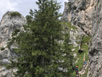 Tegelberg via ferrata Allgäu