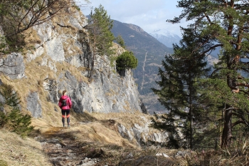 Firmenevent - Bergwanderung mit gemütlicher Hütteneinkehr