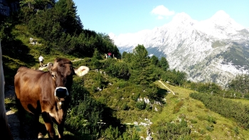 Auf die Zugspitze (2962m) über den Königsweg (3 Tage)