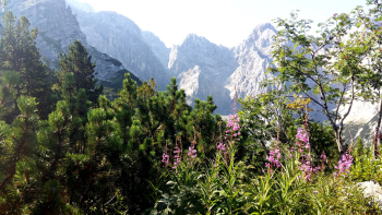 Auf die Zugspitze (2962m) über den Königsweg (3 Tage)