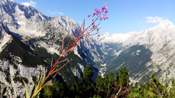Auf die Zugspitze (2962m) über den Königsweg (3 Tage)
