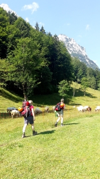 Auf die Zugspitze (2962m) über den Königsweg (3 Tage)