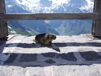 Großglockner Trek - Wanderung in 5 Tagen um den höchsten Berg Österreichs