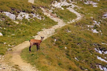 E5 Alpenüberquerung - Oberstdorf Meran - Der Klassiker unter den Transalps