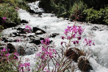 E5 Alpenüberquerung - Oberstdorf Meran - Der Klassiker unter den Transalps