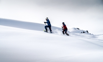 Firmenevent - Schneeschuhwanderung auf der Zugspitze