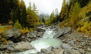 Westalpen-Woche mit Besteigung Mont Blanc (5 Tage)