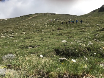 Alpenüberquerung Garmisch Meran für Einsteiger und Familien inkl. Gepäcktransport