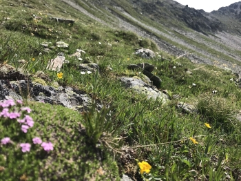 Alpenüberquerung Garmisch Meran für Einsteiger und Familien inkl. Gepäcktransport