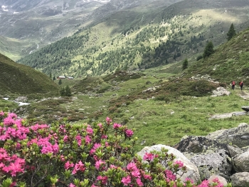 Alpenüberquerung Garmisch Meran für Einsteiger und Familien inkl. Gepäcktransport