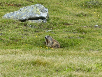 Safe Mountain Hiking Part 1: "Equipment and Overnight Stays during Mountain Hiking"