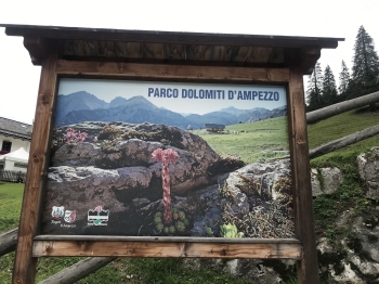 Beautiful hike through the Ampezzaner Dolomites (5 days)