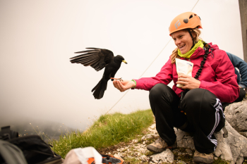 3-day Via ferrata course at the Alpspitze