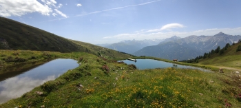 Geführte Mountainbiketour - Sunnseitn-Trail im Wipptal