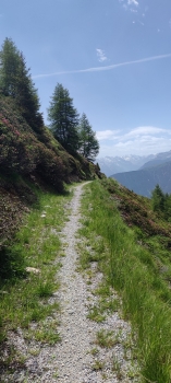 Geführte Mountainbiketour - Sunnseitn-Trail im Wipptal