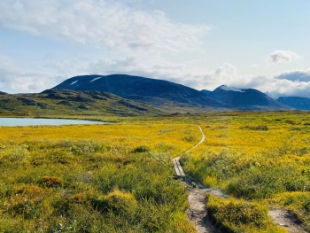 Geführte Trekkingtour auf dem Kungsleden in Nord-Schweden (8 Tage)