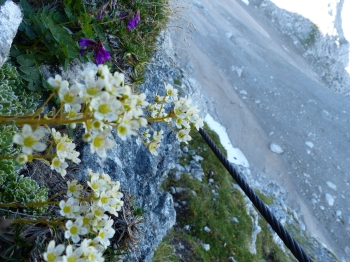 Eisenzeit - die neue "alte Tour" auf die Zugspitze