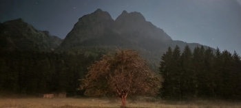 Bergtour auf den "Großen Waxenstein" (2277m)
