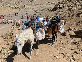 Besteigung des Ararat 5.165m (7 Tage)