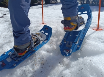 Schneeschuhwochenende auf dem Meißner Haus (3 Tage)