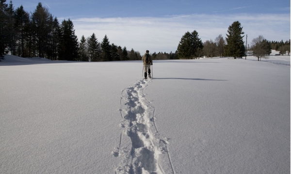LVS-Kurs für Schneeschuhgeher