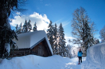 Schneeschuhwanderung für Einsteiger auf den Eckbauer...