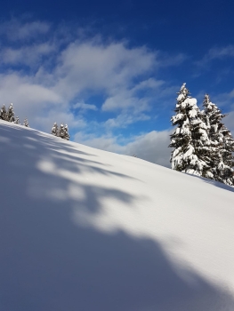 snowshoe tour in garmisch 28.02.2026