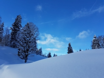 snowshoe tour in garmisch 28.02.2026