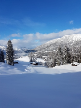 snowshoe tour in garmisch 28.02.2026