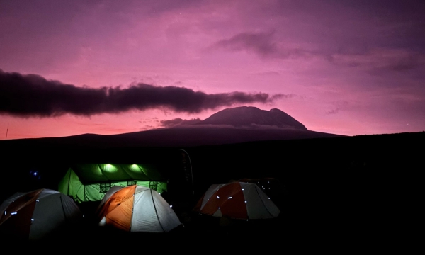 Besteigung des Kilimandscharo (5895m) über die Lemosho Route (10 Tage)