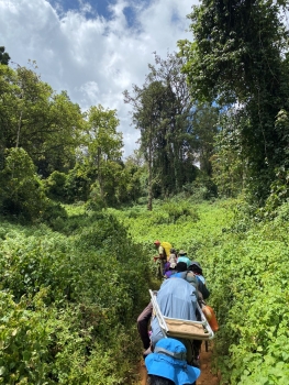 Besteigung des Kilimandscharo (5895m) über die Lemosho Route (10 Tage)