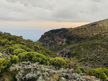Besteigung des Kilimandscharo (5895m) über die Lemosho Route (10 Tage)