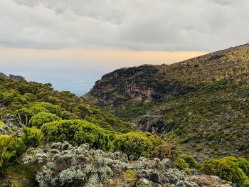 Besteigung des Kilimandscharo (5895m) über die Lemosho Route (10 Tage)