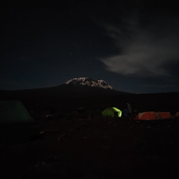 Besteigung des Kilimandscharo (5895m) über die Lemosho Route (10 Tage)