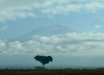 Besteigung des Kilimandscharo (5895m) über die Lemosho Route (10 Tage)