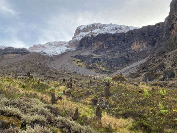 Besteigung des Kilimandscharo (5895m) über die Lemosho Route (10 Tage)