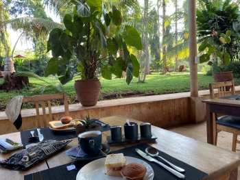 Besteigung des Kilimandscharo (5895m) über die Lemosho Route (10 Tage)