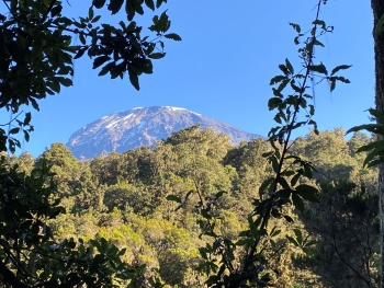 Besteigung des Kilimandscharo (5895m) über die Lemosho Route (10 Tage)