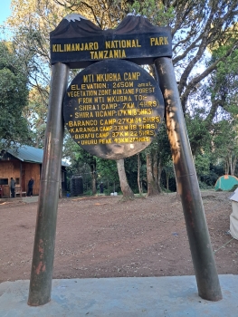 Besteigung des Kilimandscharo (5895m) über die Lemosho Route (10 Tage)