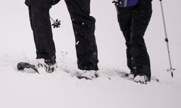 Schneeschuh-Techniktraining