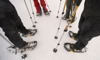 Schneeschuh-Techniktraining