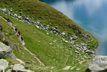 Alpenüberquerung mit Hund von Garmisch nach Meran inkl. Gepäcktransport