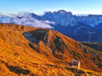 Geführte Bergwanderung über den Karnischen Höhenweg (6 Tage)